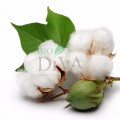 Absorbante anatomice din 100% bumbac organic 