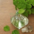 Ulei esențial de mentă Peppermint 